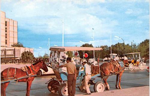 Las calandrias de Nuevo Laredo ya con ruedas de automóvil. Década de 1970.