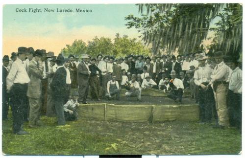 Tarjeta postal coloreada con escena de pelea de gallos en Nuevo Laredo. Inicios del siglo XX.