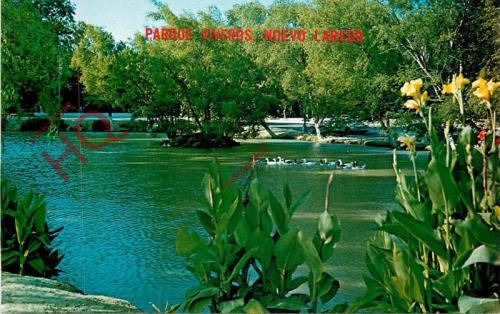 Tarjeta postal con una imagen del pequeño lago que había en el Parque Viveros de Nuevo Laredo. Década de 1970.