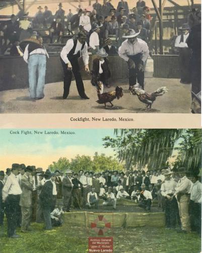 Tarjetas postales coloreadas con escenas de peleas de gallos en Nuevo Laredo. C. a. 1910.