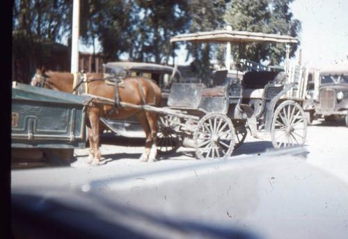 Una carreta tradicional en Nuevo Laredo. Década de 1950.